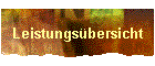 Leistungsbersicht